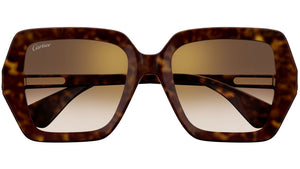 CT0507S 002 Tortoise Brown