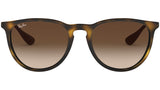 Erika Classic RB4171 matte tortoise