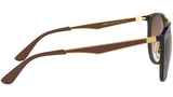 RB4285 tortoise and brown