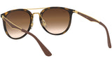 RB4285 tortoise and brown