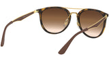 RB4285 tortoise and brown