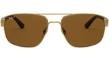 RB3663 brown polarized