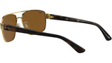 RB3663 brown polarized