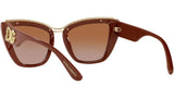 DG 6144 329213 brown