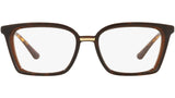 DG 5081 3185 tortoise