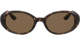 DG 4443 502/73 Tortoise Brown